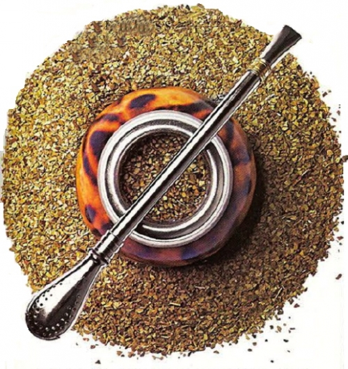L’infusion de feuilles de l’ Yerba Maté