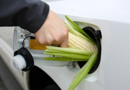 Types de biocarburants