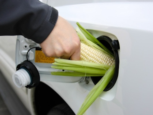 types biocarburants