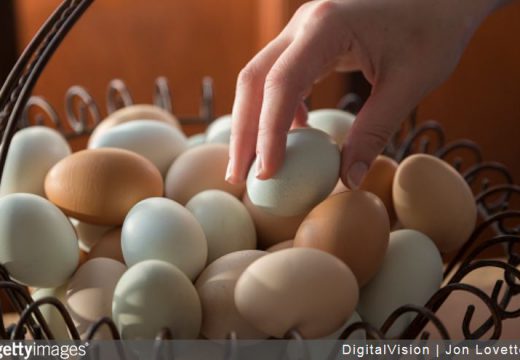 Remplacer les œufs en cuisine : mode d’emploi